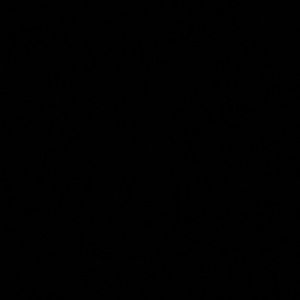 Meet your Posher, Lance